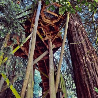 Cotswold Wildlife Park and Gardens - Adventure Playground - Sky Maze Tree House