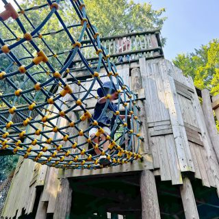 Cotswold Wildlife Park and Gardens - Adventure Playground - Sky Maze Tree House