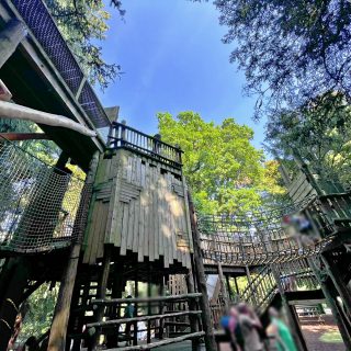 Cotswold Wildlife Park and Gardens - Adventure Playground - Sky Maze Tree House