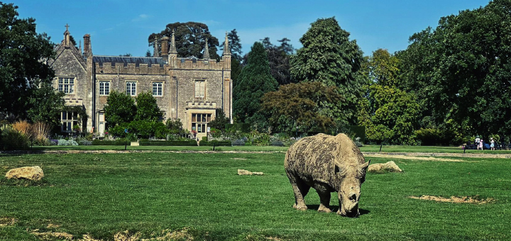 Cotswold Wildlife Park and Gardens