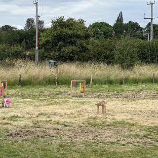 Top of the Pops - Attingham Park