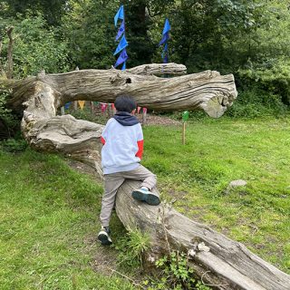 Attingham Park - Play Area
