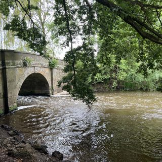 Attingham Park