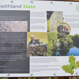 Swithland Wood - Slate