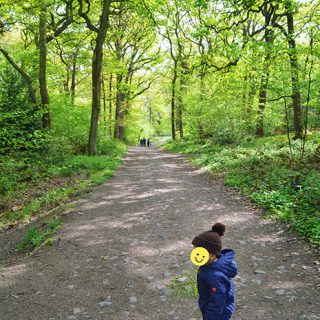 Swithland Wood walk