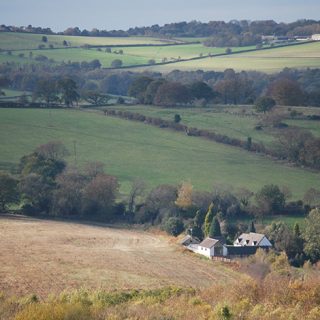 View from Beacon Hill