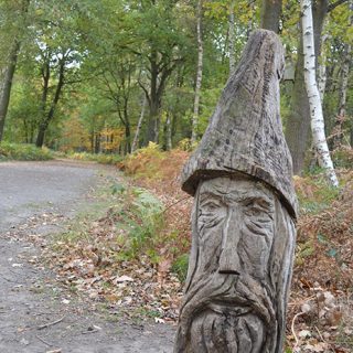 Wood_Sculpture_in_Beacon_Hill