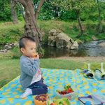 picnic Bradgate Park 2