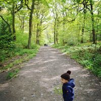 Swithland Wood walk