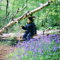 Swithland Wood Bluebell near Leicester and Loughborough